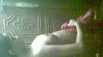 desi girl bath scene captured