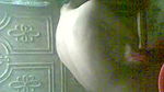 desi girl bath scene captured