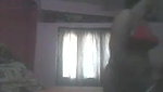 hot tamil aunty removing dress