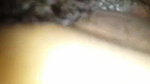 indian gf anal sex