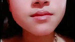 butterfly 2