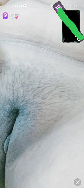nipa