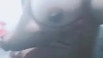 Desi Girl Showing her Boobs and Pussy
