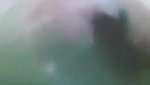 Beautiful horny Indian girl fingering