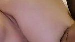 Sh Stripchat collection 272