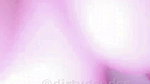LILY BILY