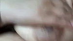 Sh Stripchat collection 304