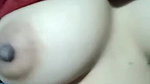 Sh Stripchat collection 313