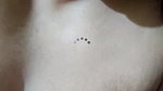 Sh Stripchat collection 323