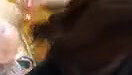 Shy Desi Girl Blowjob