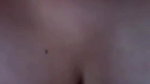 Sh Stripchat collection 644