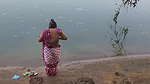 Indian Village Wife Bathing in the River in Outdoor Area
