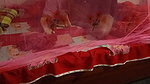 Desi Step Sister Her Step Brother First Time Having Sex Desi Step Sister Sex Video