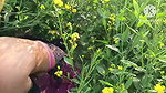 Desi Bhabhi Devar First Time Sex in Outdoor Area