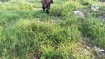 Desi Bhabhi Devar First Time Sex in Outdoor Area