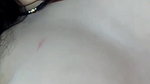 Sh Stripchat collection 1002