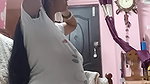 Youtuber Isha Diaries 46