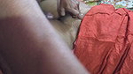 Girl Sex in Doggy Position ft Sobha Rani Your Kajal Village Indi