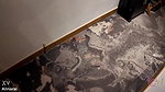 4Alina Rai Stepson Couldnt Resist His Hot Stepmom In a Hotel Room