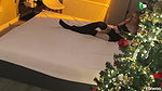 4Yuiwoo Hot Young StepMom Let Me Share a Bed With Her Its Hard Not To Cum