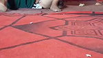 Paki mature bhabhi fucking by devar
