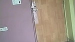 Sh Stripchat collection 1362