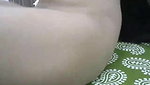Sh Stripchat collection 1372