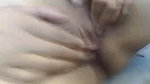 Sh Stripchat collection 1438