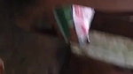 Lankan guy getting blowjob from mature Milf