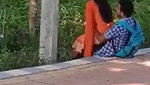 Desi Lovers Fucking in Park Capture Hidenly