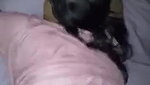 Desi Aunty Moans Loudly When Fucked Doggy
