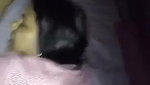 Desi Aunty Moans Loudly When Fucked Doggy