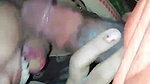 Neighbour Bhabi Giving Blowjob