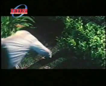 Frame 10