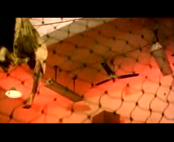 Frame 10