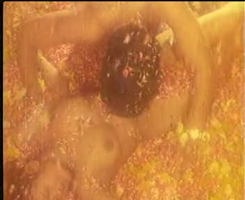Frame 10