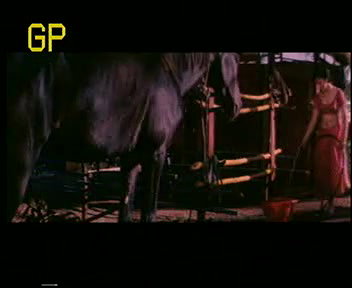 Tera Jism Our Mera Dil_Uncensored.DAT