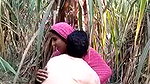 Village girl romance in jungle update