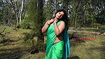 Aranye Saree