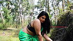 Aranye Saree
