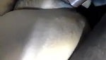 Desi Chubby Aunty Fucked Hard in Hairy Pussy