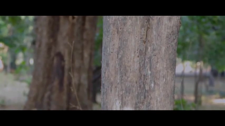 Frame 10