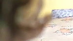 Noida cpls sex session recorded by Hidden cam by landlord