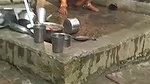 Village bhabhi pissing,recorded by devar