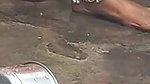 Village bhabhi pissing,recorded by devar