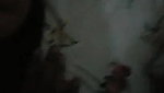Desi village aunty pain fucking with devar