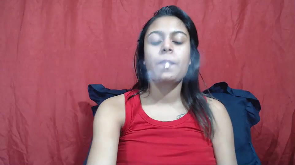 New premium cam collection – 383