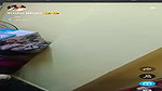 Trisha Bhabhi Tango Live With Face