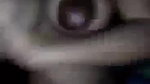 Bigboob Girl Fucking
