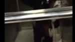 Naughty Girls Sucking Best Friends Dick in Lift